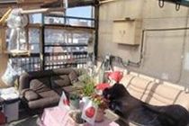 Tokyo Guest House 2020 מראה חיצוני תמונה